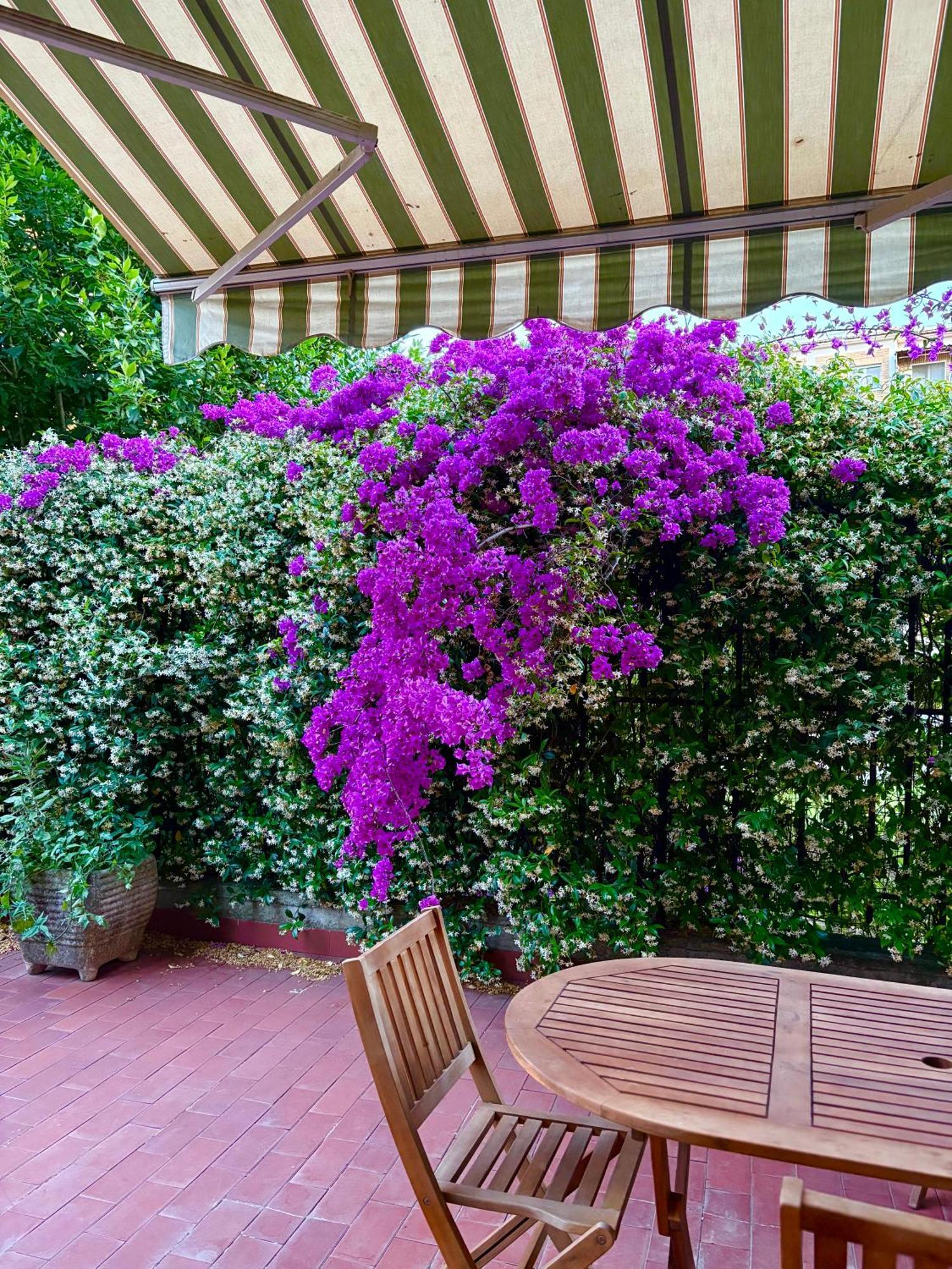Apartamento Casa Arianna Roma
